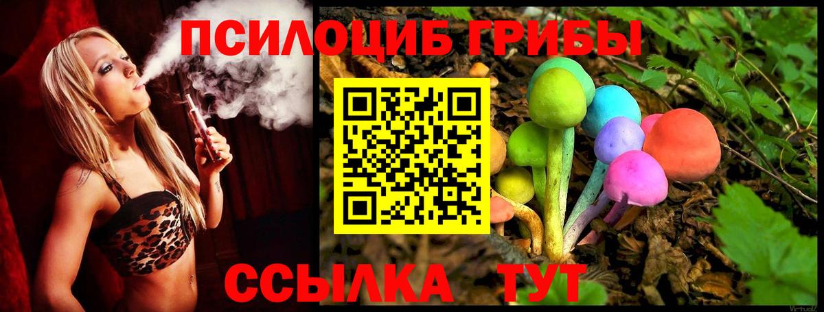 Псилоцибиновые грибы мицелий Печора